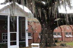1_Picture-14-Thomasville