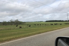 1_Picture-18-Thomasville